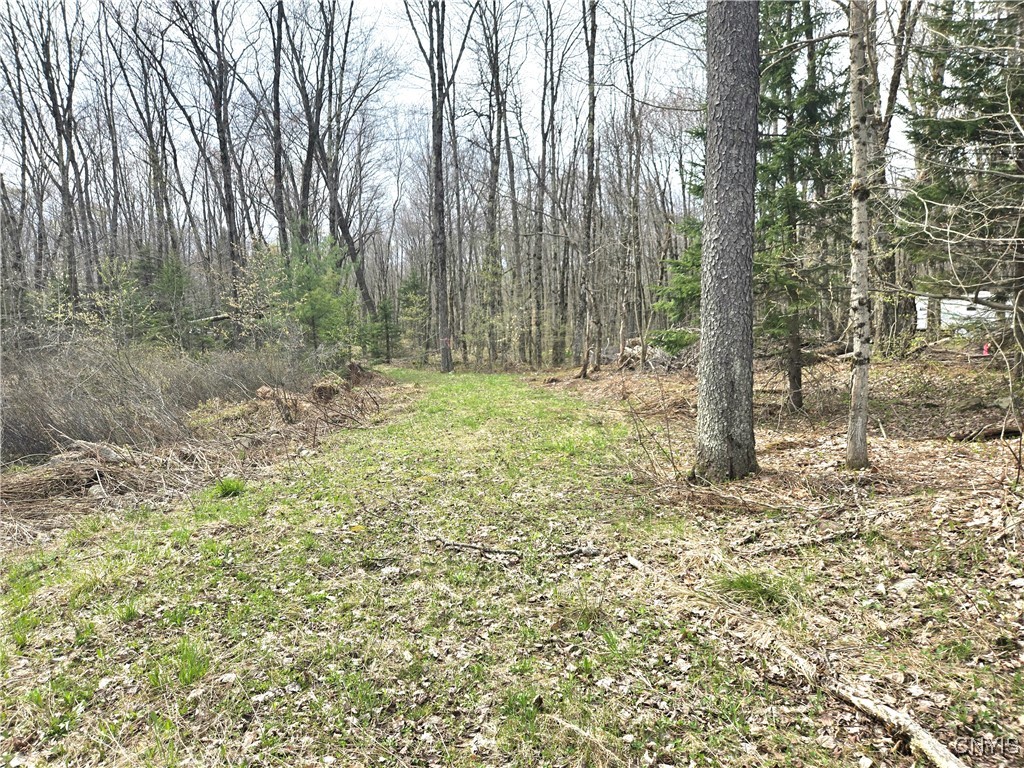 4023 County Route 17, Redfield, New York image 1
