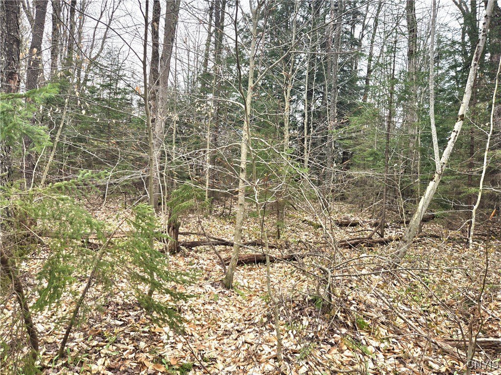 4023 County Route 17, Redfield, New York image 6