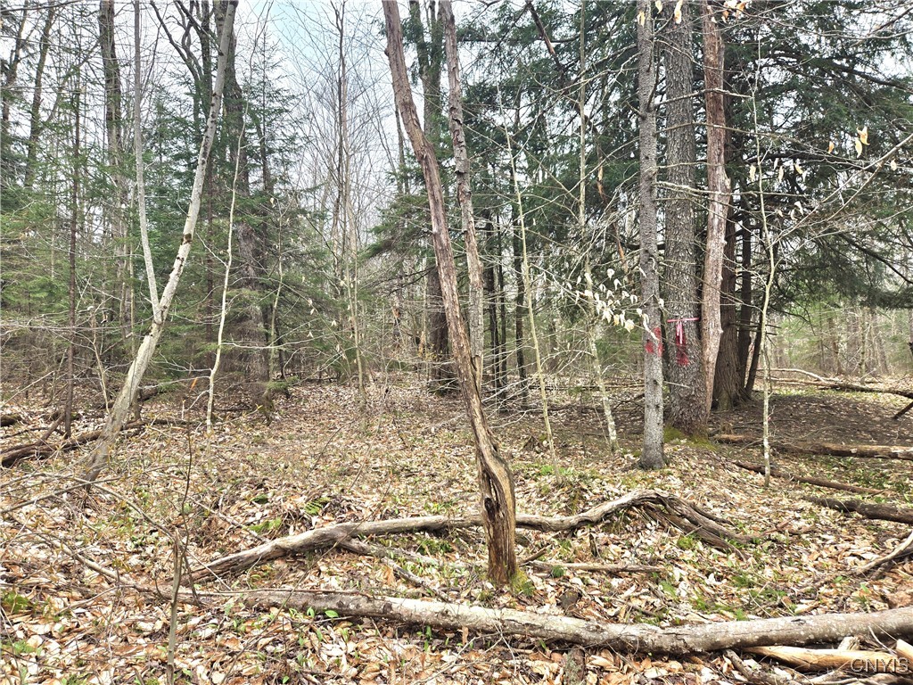 4023 County Route 17, Redfield, New York image 5