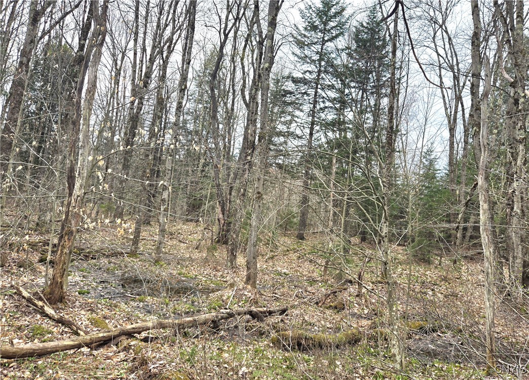 4023 County Route 17, Redfield, New York image 7