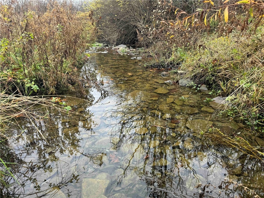 Dry Brook Road, Ellington, New York image 1