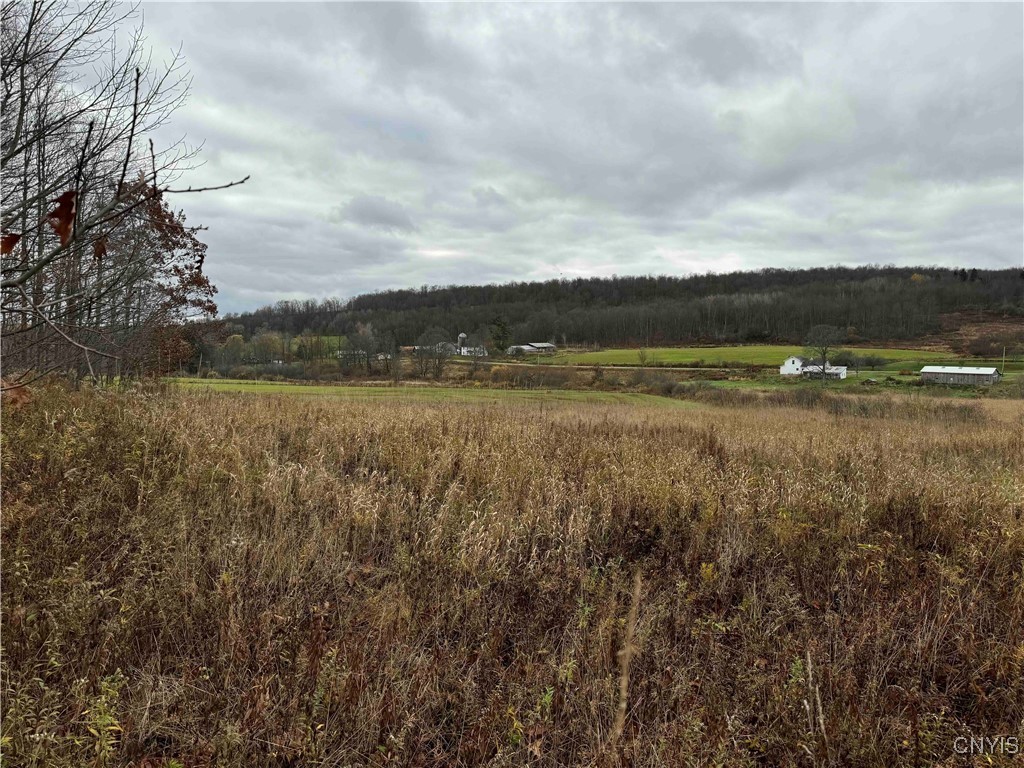 Dry Brook Road, Ellington, New York image 8