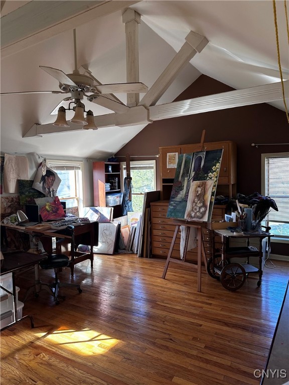 25 South Street, Camillus, New York image 22