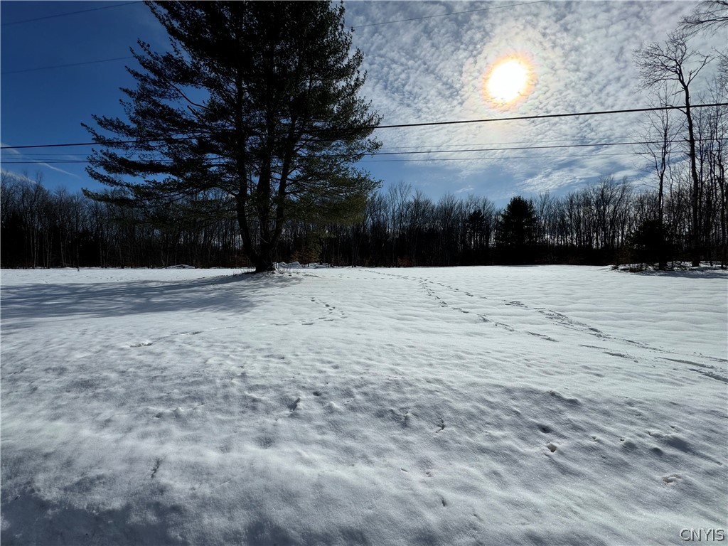67 Jacobson Drive