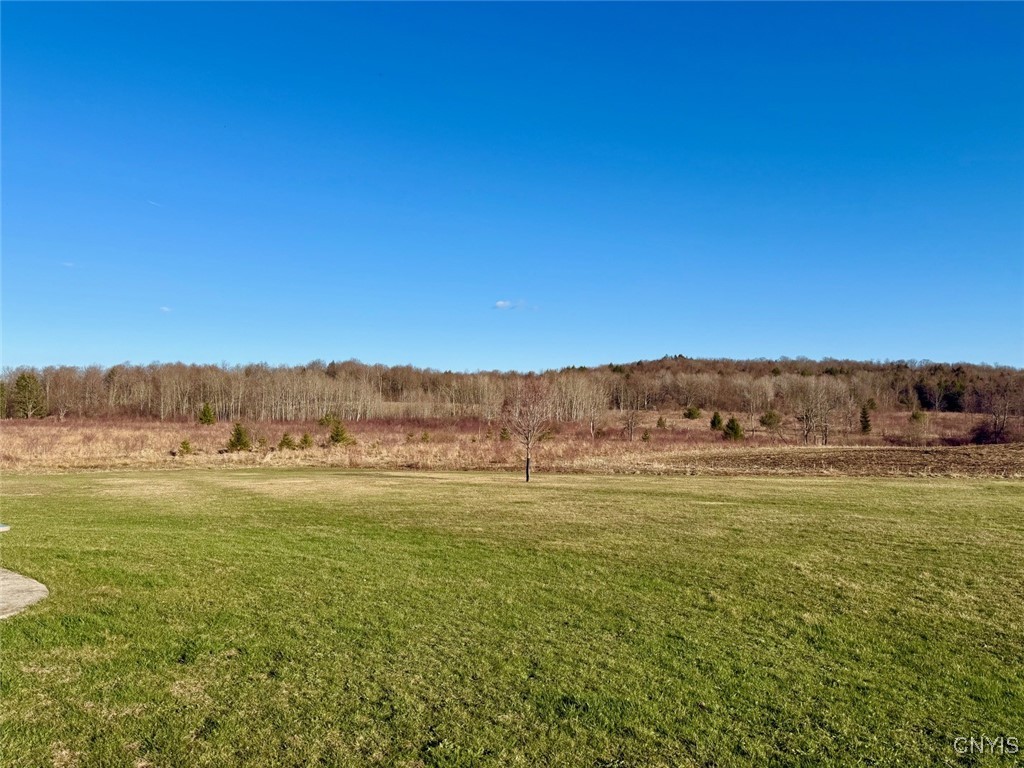 3978 State Route 221, Marathon, New York image 42