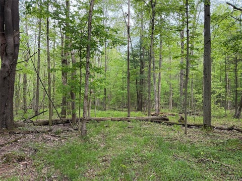 Vacant Land For Sale - Kellogg Hill Road<br/> Cattaraugus County, Leon, NY 14138