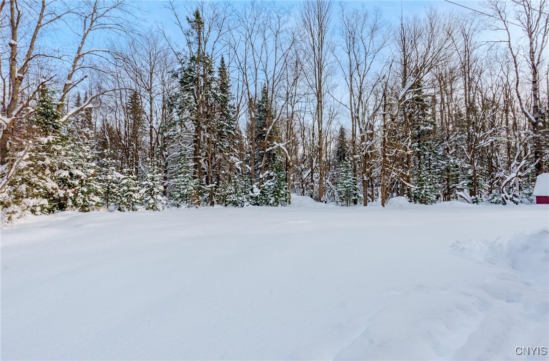 298 Billy Hamlin Road