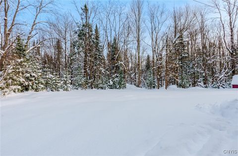 Tiny photo for 298 Billy Hamlin Road, Ohio, NY 13324 (MLS # S1655305)