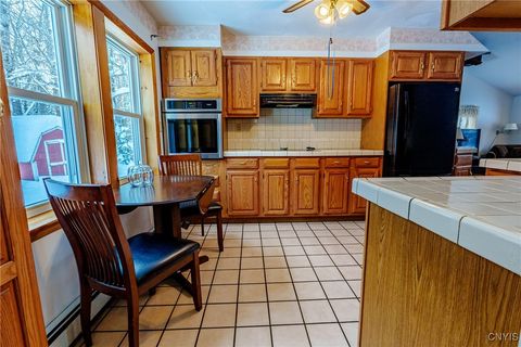 Tiny photo for 298 Billy Hamlin Road, Ohio, NY 13324 (MLS # S1655305)