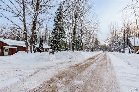 Tiny photo for 298 Billy Hamlin Road, Ohio, NY 13324 (MLS # S1655305)