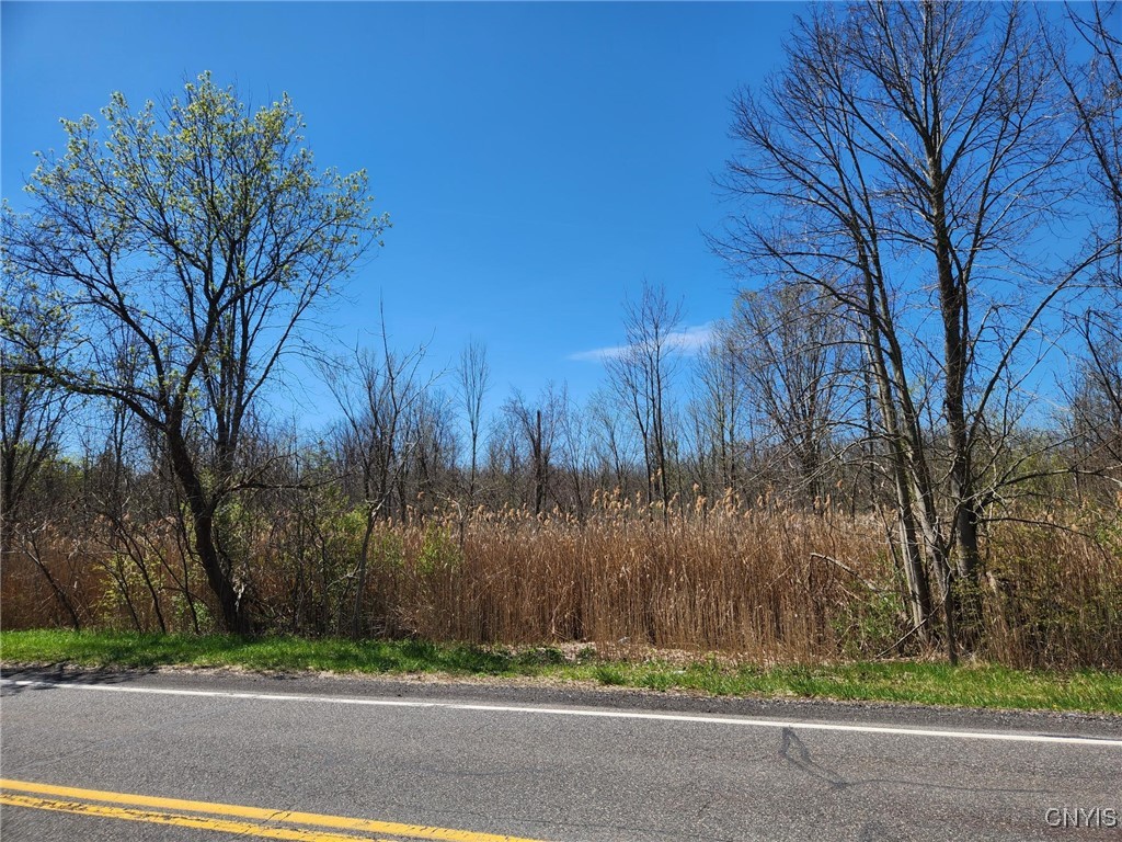 01-01.0 & 01-04 Bowman Road, Manlius, New York image 1