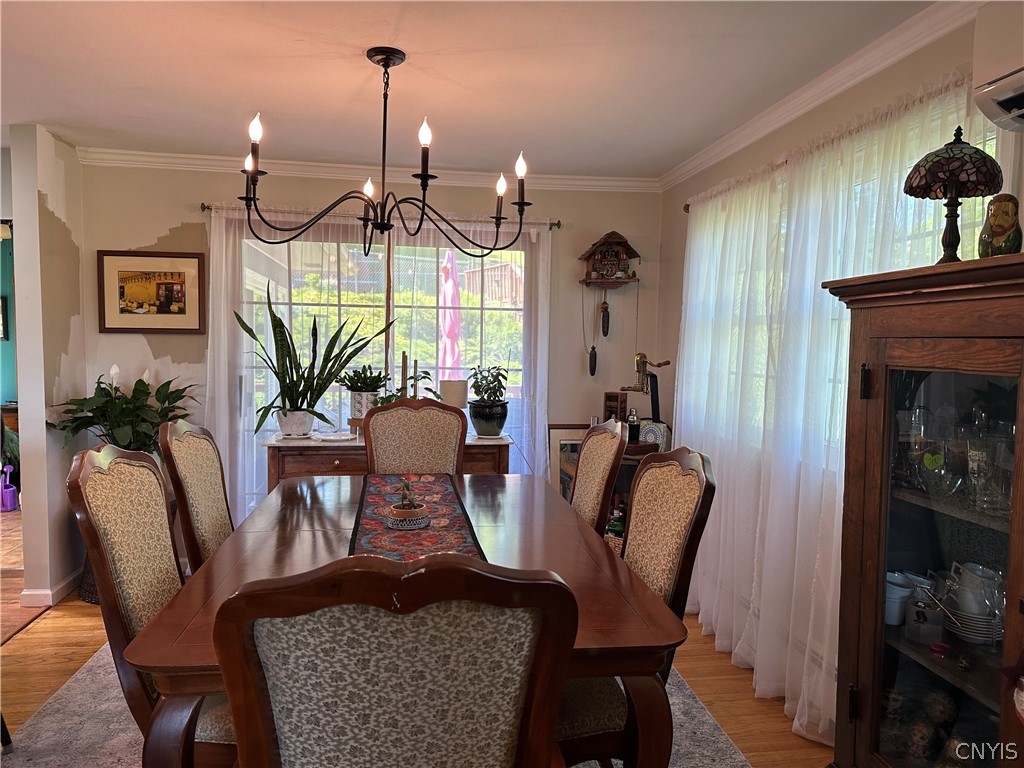 443 Surrey Drive