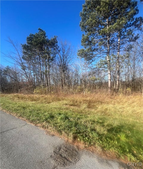 Vacant Land For Sale - 00 Us Route 11<br/> Jefferson County, Antwerp, NY 13608