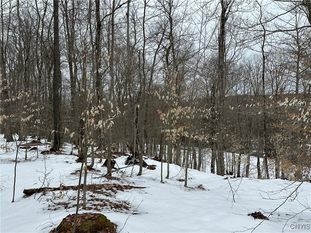 3267 Osceola Road, Lewis, New York image 31