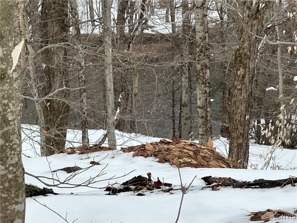 3267 Osceola Road, Lewis, New York image 32