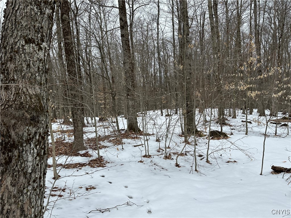 3267 Osceola Road, Lewis, New York image 30