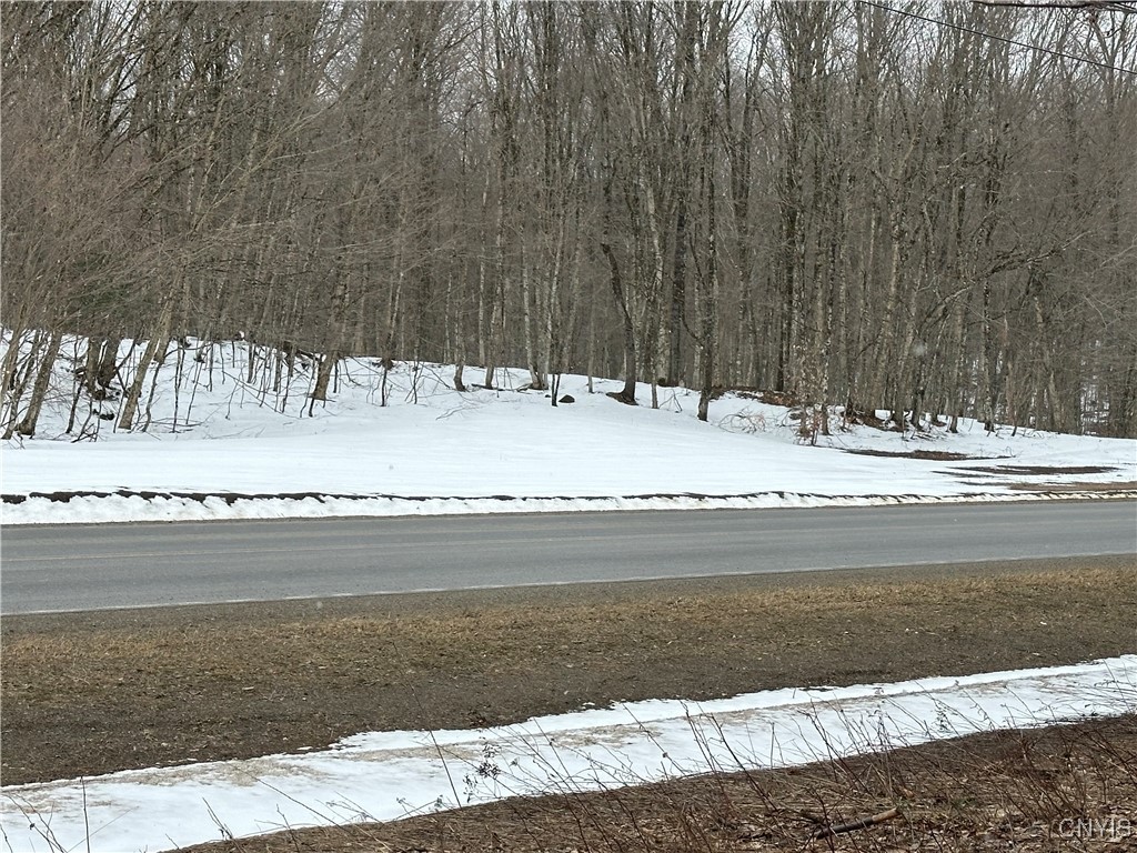 3267 Osceola Road, Lewis, New York image 39