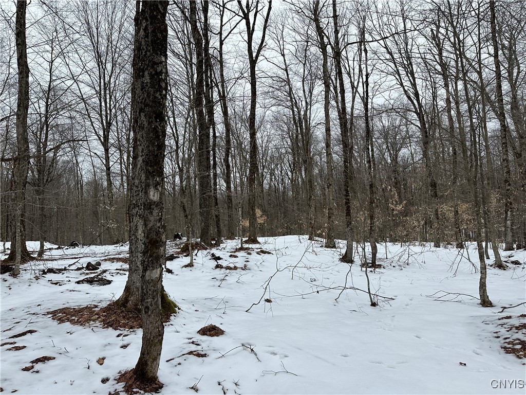 3267 Osceola Road, Lewis, New York image 36