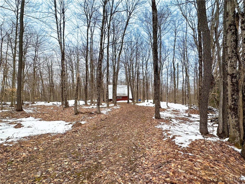 3267 Osceola Road, Lewis, New York image 28
