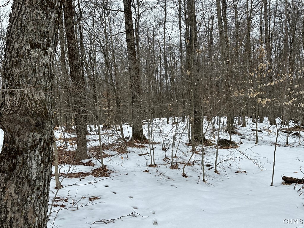 3267 Osceola Road, Lewis, New York image 29