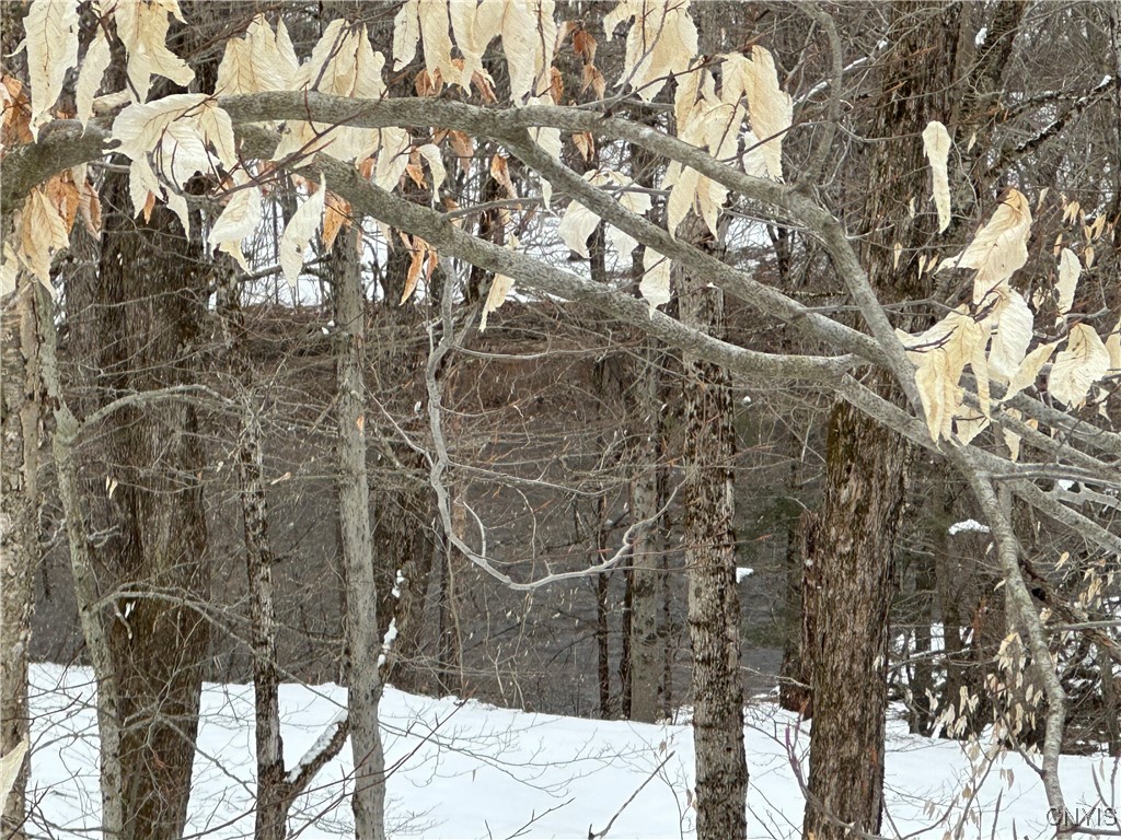 3267 Osceola Road, Lewis, New York image 33