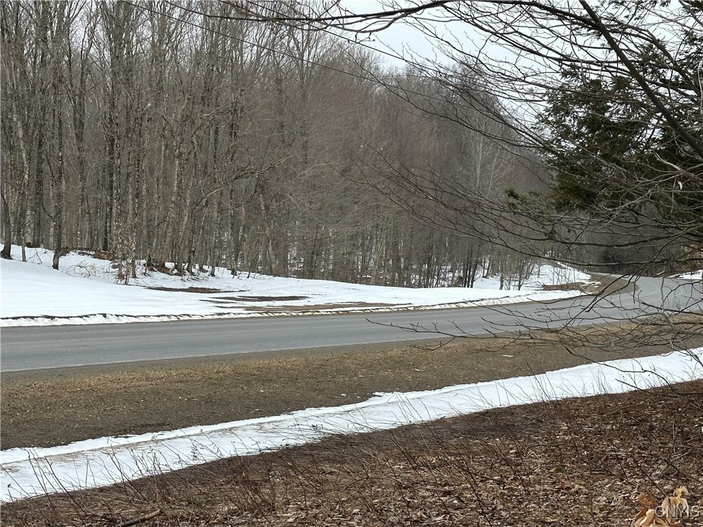 3267 Osceola Road, Lewis, New York image 38