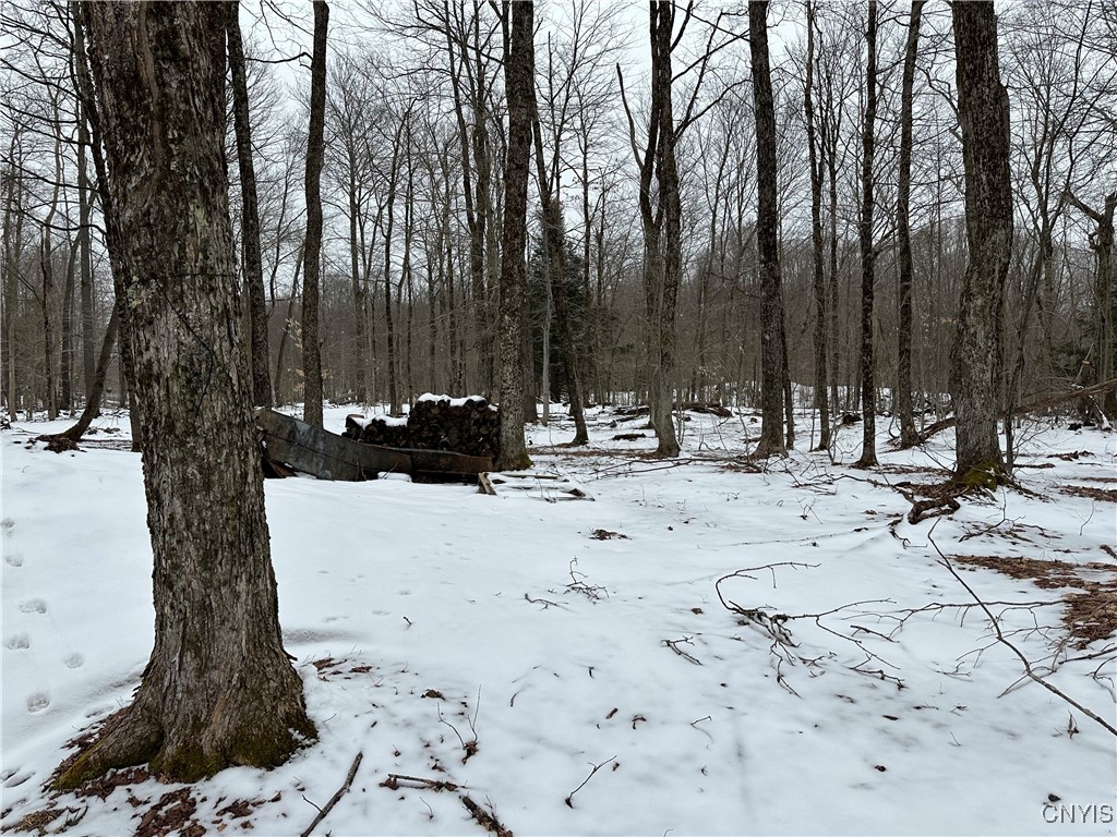 3267 Osceola Road, Lewis, New York image 34