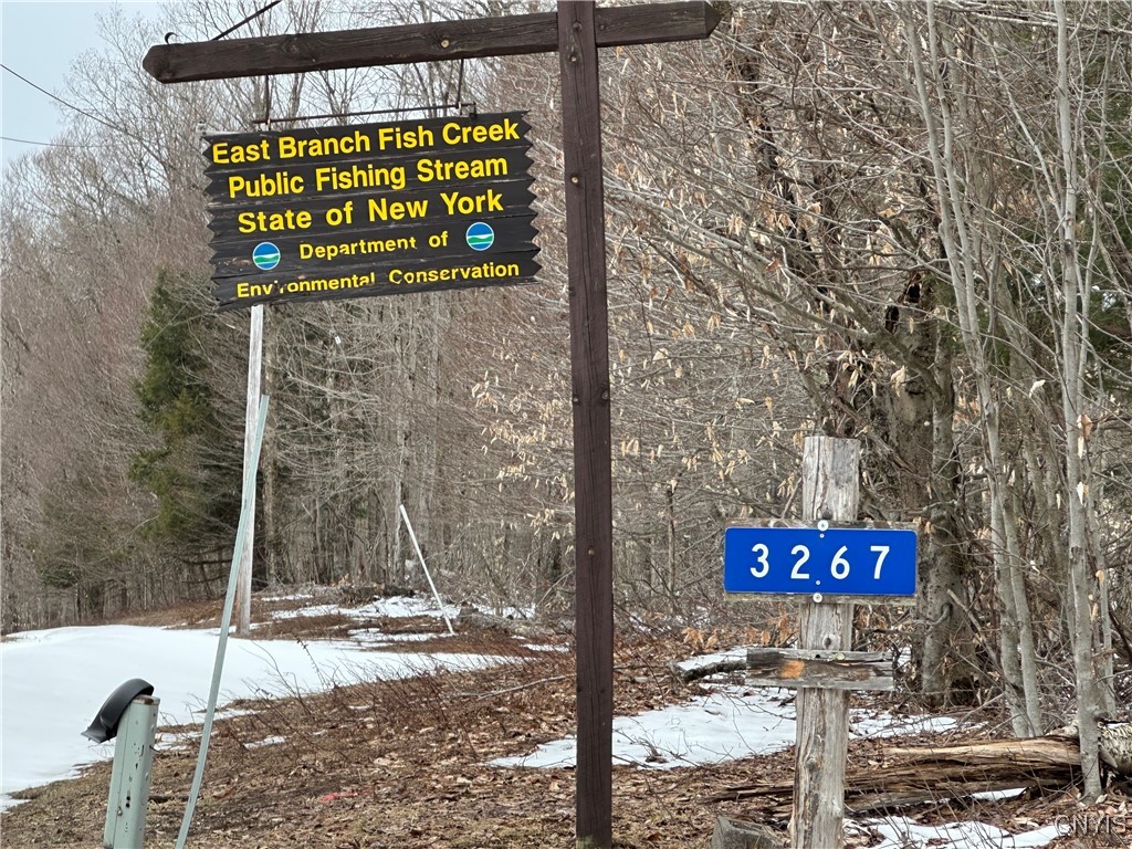 3267 Osceola Road, Lewis, New York image 2