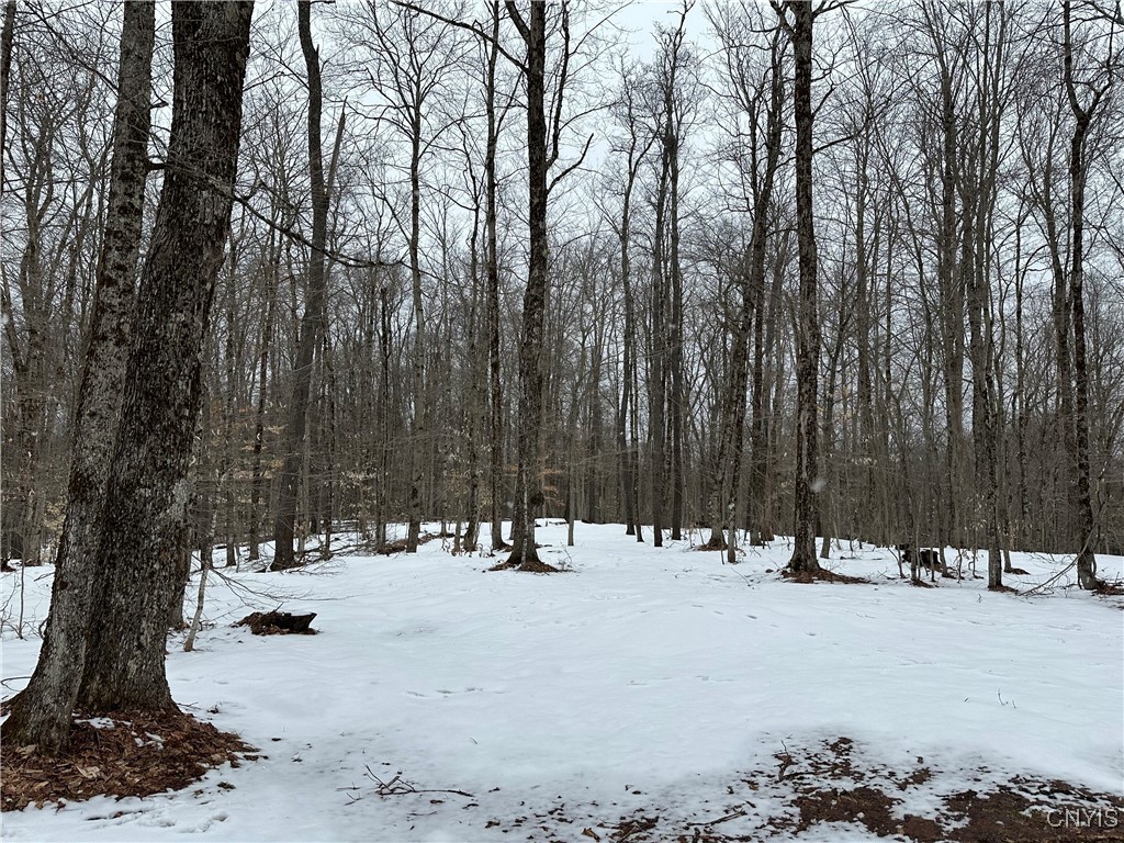 3267 Osceola Road, Lewis, New York image 37