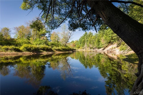 Tiny photo for 8224 Evergreen Lane, Diana, NY 13648 (MLS # S1714303)