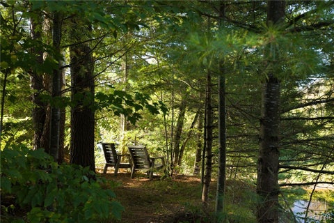 Tiny photo for 8224 Evergreen Lane, Diana, NY 13648 (MLS # S1714303)