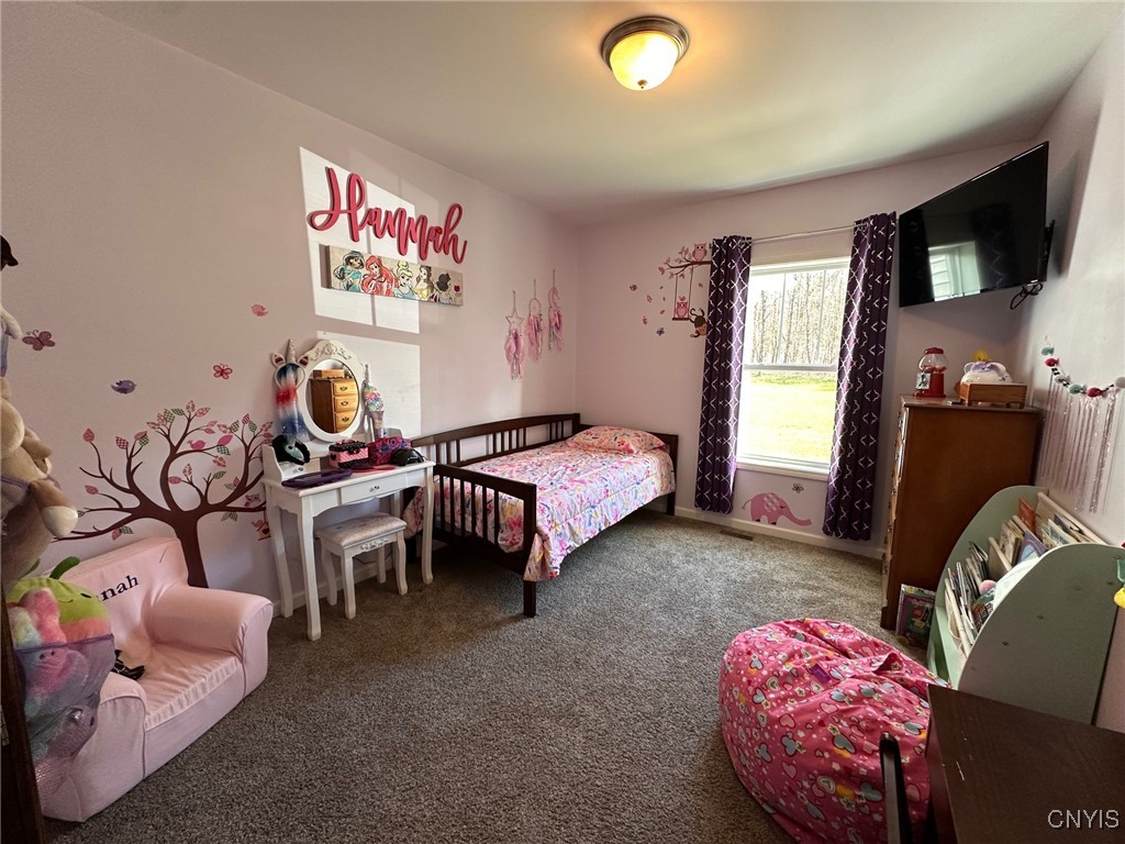 10017 Penfield Road, Camden, New York image 25