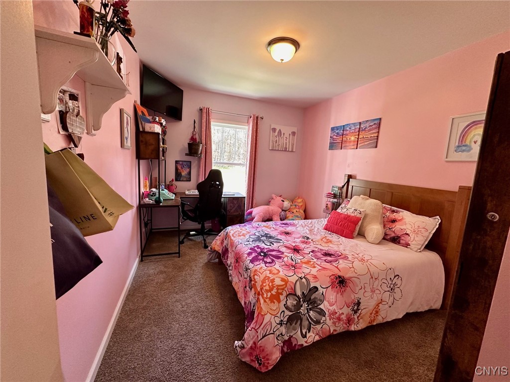 10017 Penfield Road, Camden, New York image 26