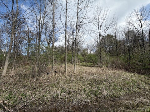Photo for Rt-167
