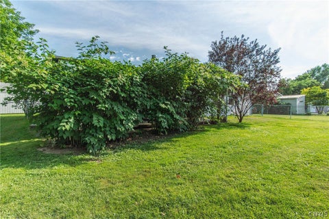 Tiny photo for 39 Saint Lawrence Avenue, Alexandria, NY 13607 (MLS # S1707692)