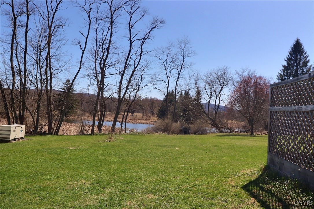 11302 Mill Street, Brookfield, New York image 22