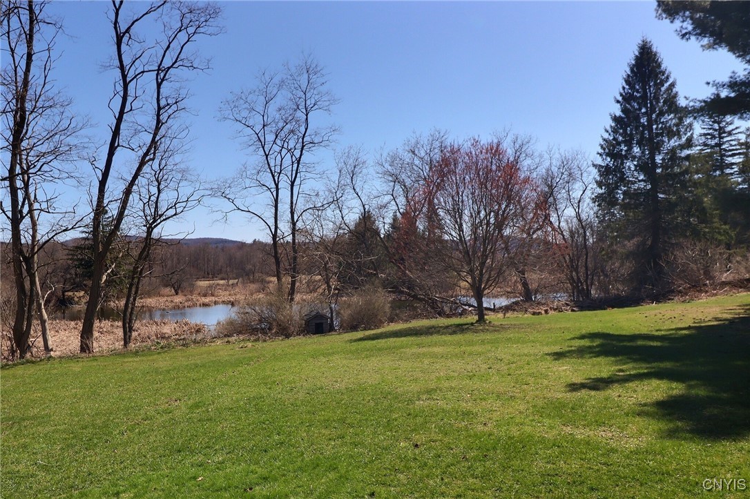 11302 Mill Street, Brookfield, New York image 21