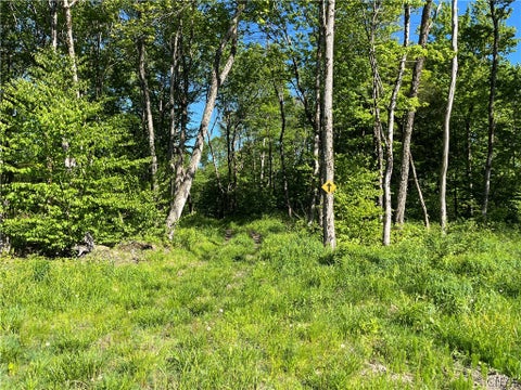 Vacant Land For Sale - Co Rt 17<br/> Redfield, NY 13437