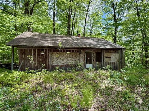 37 Pennock Brook Drive E Orwell NY 13144