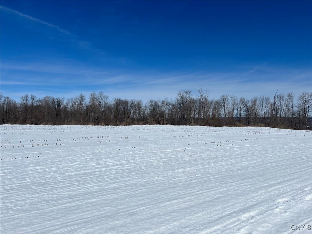 Milk House Road, Turin, New York image 8