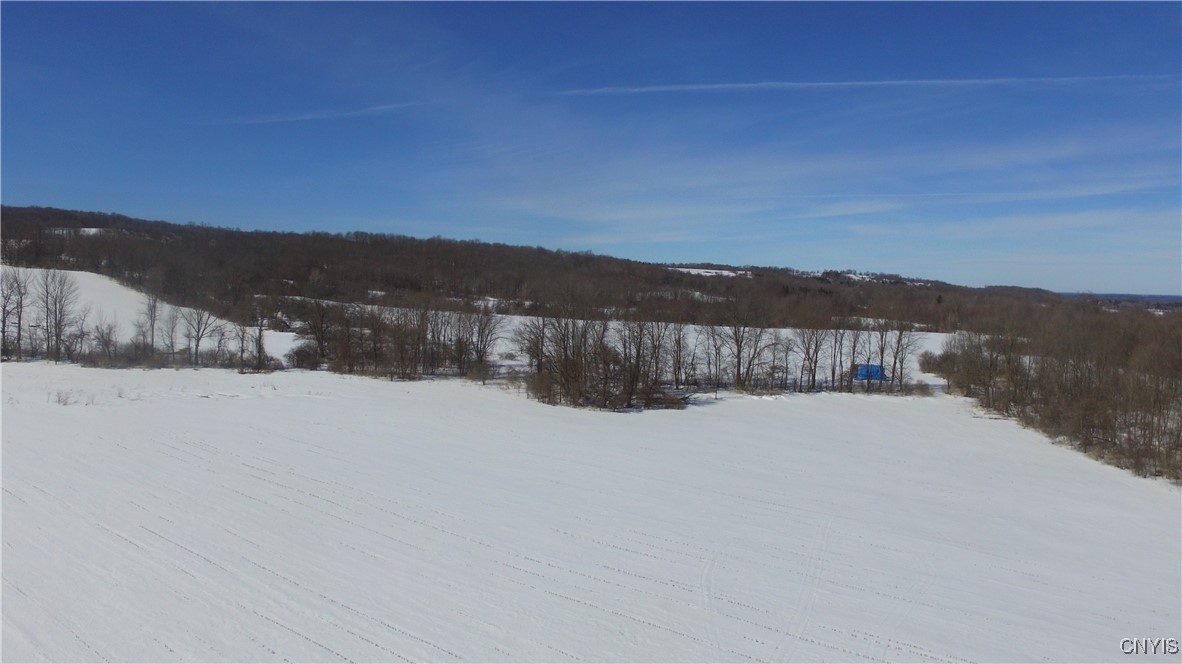 Milk House Road, Turin, New York image 24