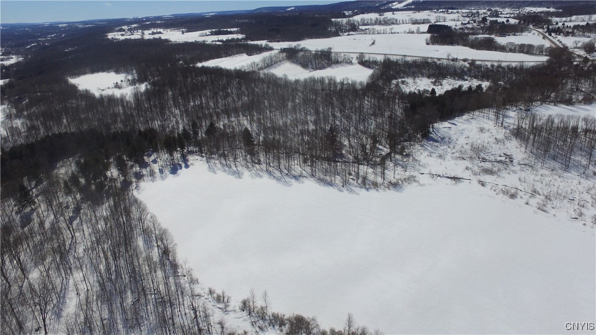 Milk House Road, Turin, New York image 33
