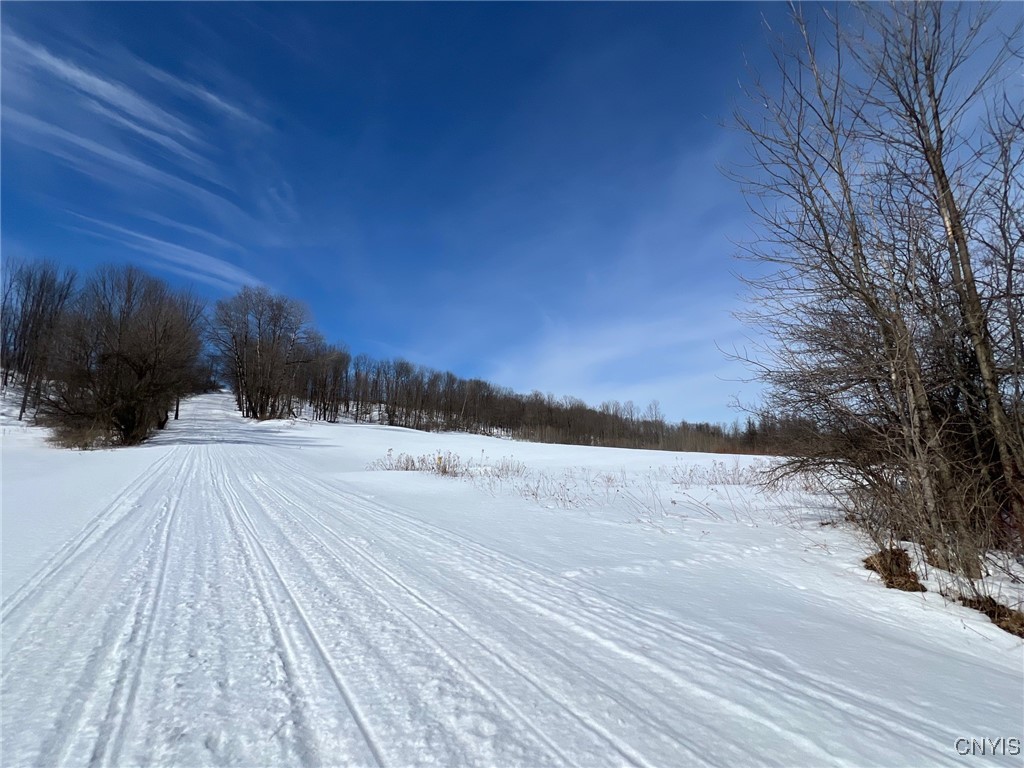 Milk House Road, Turin, New York image 18