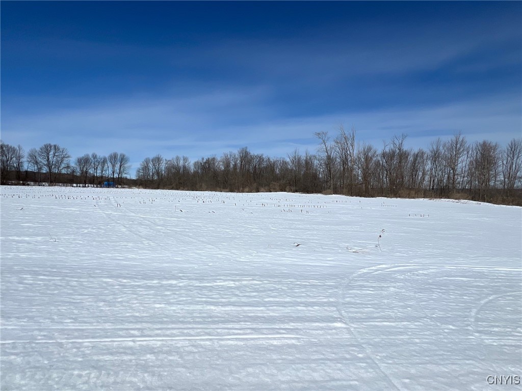Milk House Road, Turin, New York image 6
