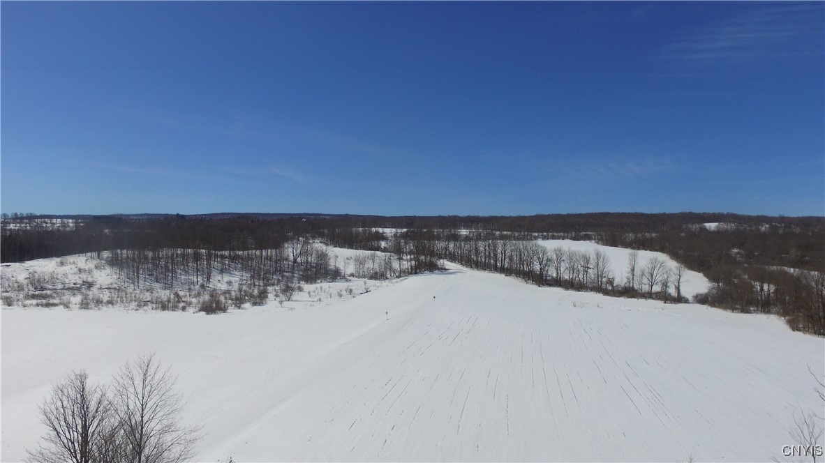 Milk House Road, Turin, New York image 28