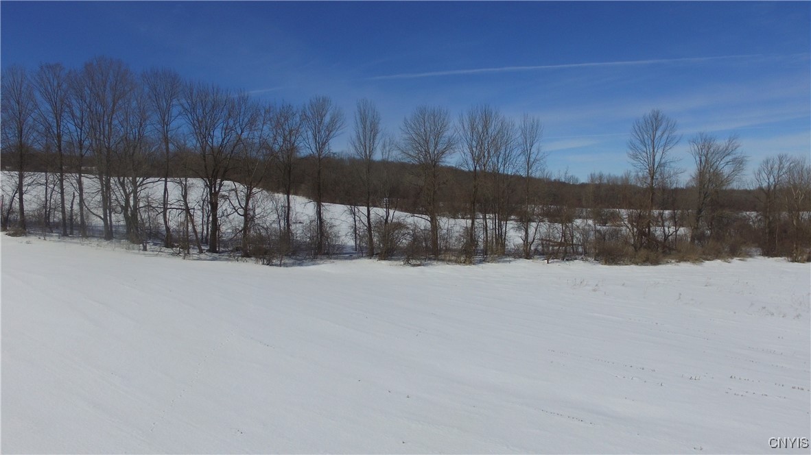 Milk House Road, Turin, New York image 22