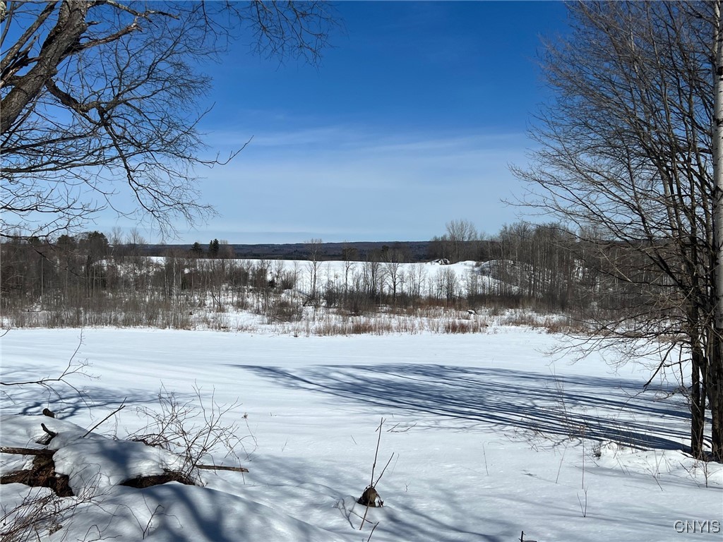 Milk House Road, Turin, New York image 1