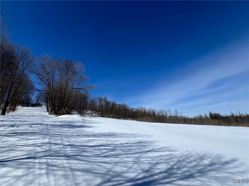 Milk House Road, Turin, New York image 19