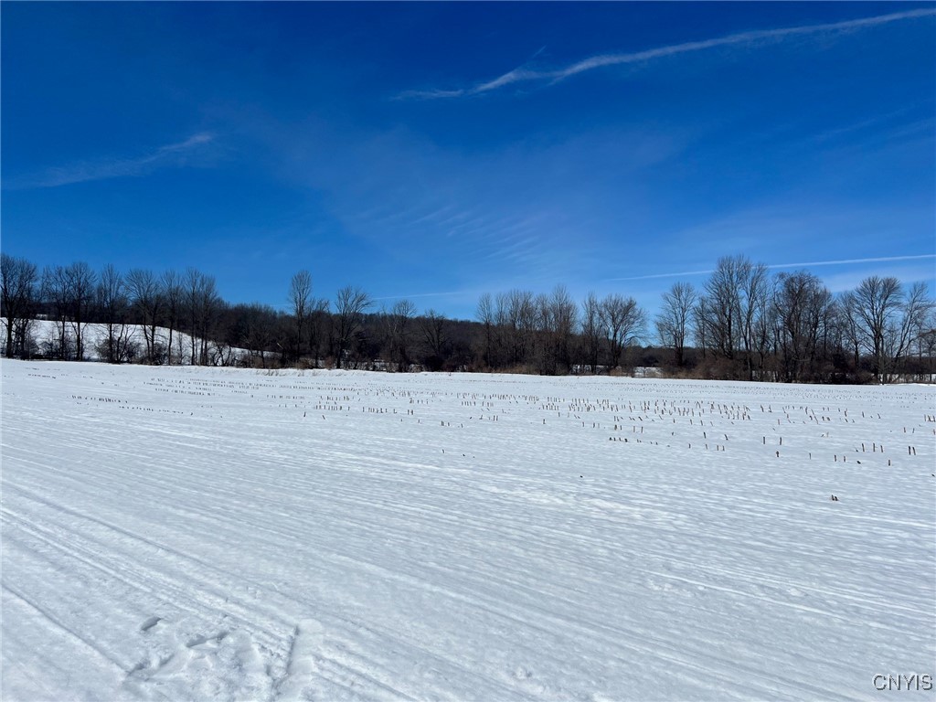 Milk House Road, Turin, New York image 7