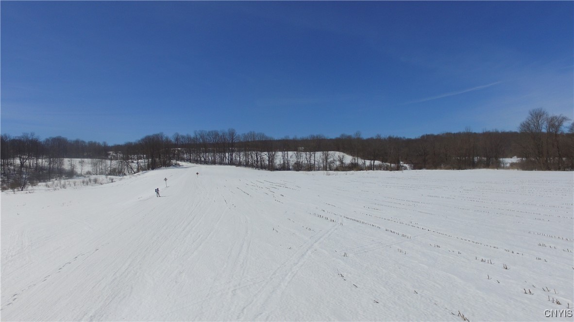 Milk House Road, Turin, New York image 44